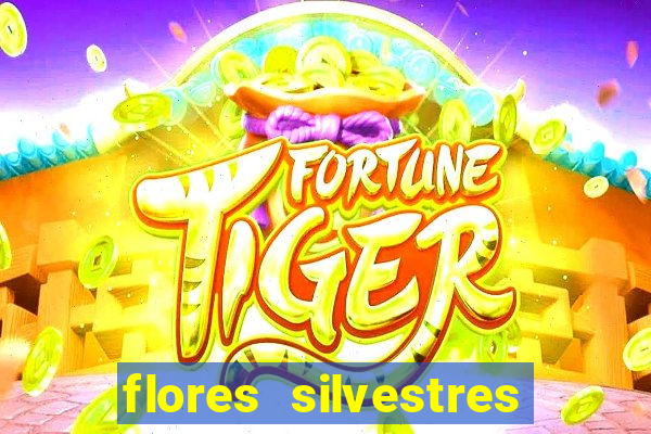 flores silvestres desbravadores desbravadores 25